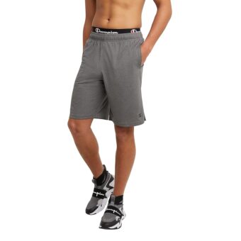 Champion Men's Sport Shorts, Moisture Wicking, Athletic Shorts, Gym Shorts (Reg. Or Big & Tall)