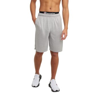Champion Men's Sport Shorts, Moisture Wicking, Athletic Shorts, Gym Shorts (Reg. Or Big & Tall)