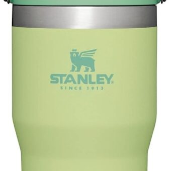 Stanley IceFlow Flip Straw Tumbler with Handle 20 oz | Twist On Lid and Flip Up Straw | Leak Resistant Water Bottle | Insulated Stainless Steel |BPA-Free | Citron
