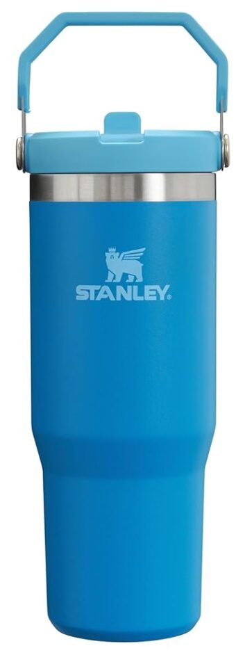 Stanley IceFlow Flip Straw Tumbler with Handle 30 oz | Twist On Lid and Flip Up Straw | Leak Resistant Water Bottle | Insulated Stainless Steel |BPA-Free | Azure